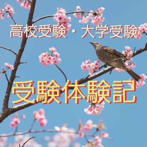 受験体験記～後輩たちへのエール～　 新年度版